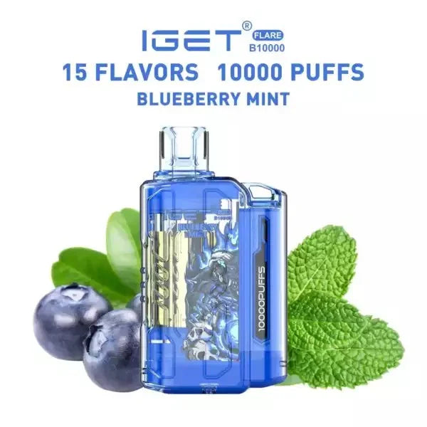 IGET FLARE B10000 – Blueberry Mint - Vape Shop Uttarakhand