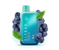 ELF BAR RAYA D1 – Blueberry Mint - Vape Shop Uttarakhand
